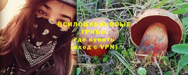 винт Алзамай