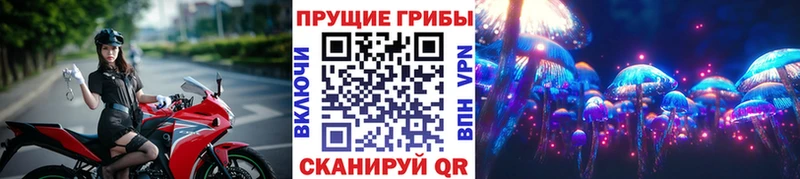 Псилоцибиновые грибы Cubensis  как найти закладки  Азнакаево 